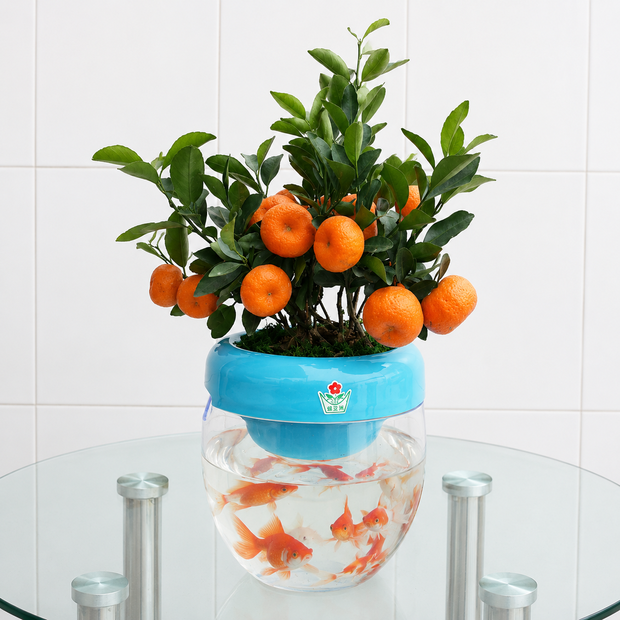 Multifunctional Plant Pot